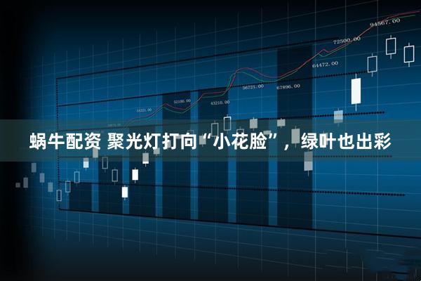 蜗牛配资 聚光灯打向“小花脸”，绿叶也出彩