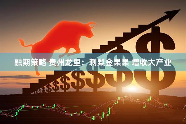 融期策略 贵州龙里：刺梨金果果 增收大产业