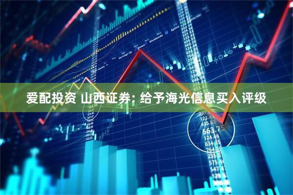 爱配投资 山西证券: 给予海光信息买入评级