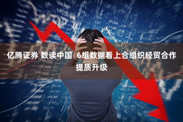 亿腾证券 数读中国  6组数据看上合组织经贸合作提质升级